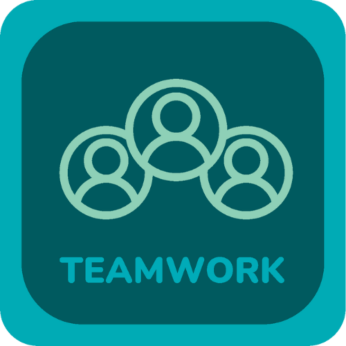 Achievement 41 - TEAMWORK